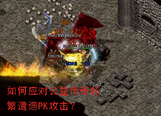 ���Ӧ�Թ��洫��Ƶ������PK������