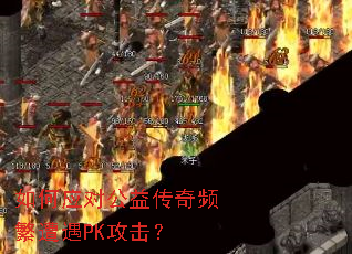 ���Ӧ�Թ��洫��Ƶ������PK������
