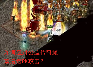 ���Ӧ�Թ��洫��Ƶ������PK������