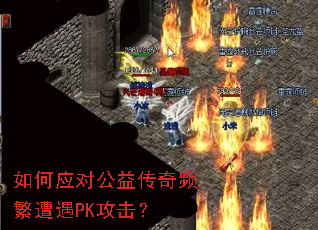 ���Ӧ�Թ��洫��Ƶ������PK������