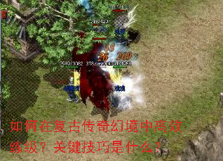 ����ڸ��Ŵ���þ��и�Ч�������ؼ�������ʲô��