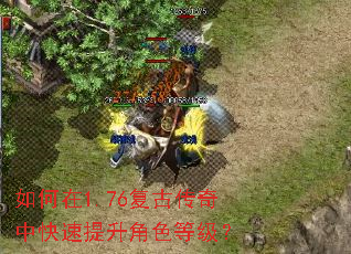 �����1.76���Ŵ����п���������ɫ�ȼ���