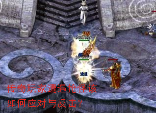 ��������������ָ����Ӧ���뷴����