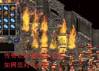 ��������������ָ����Ӧ���뷴����