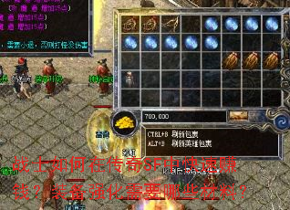 սʿ����ڴ���SF�п���׬Ǯ��װ��ǿ����Ҫ��Щ���ϣ�