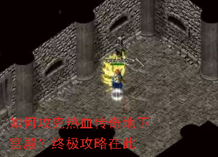 ��ι�����Ѫ������¹���ռ������ڴ�