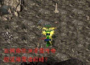 �����ŷ�޻�ѩ���������ѩ���۷壿