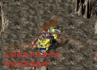 �����ŷ�޻�ѩ���������ѩ���۷壿
