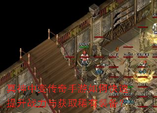 ڤ���б䴫��������ο�������ս�����ȡϡ��װ����