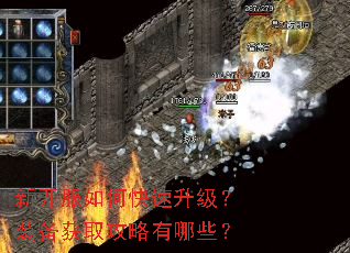 新开服如何快速升级?装备获取攻略有哪些? 新开服如何快速升级?装备获取攻略有哪些?