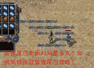狐狸尾巴刷新时间是多久?如何高效获取狐狸尾巴攻略? 狐狸尾巴刷新时间是多久?如何高效获取狐狸尾巴攻略?