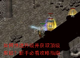 如何快速升级并获取顶级奖励?新手必看攻略指南 如何快速升级并获取顶级奖励?新手必看攻略指南