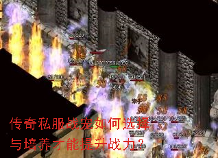 传奇私服战宠如何选择与培养才能提升战力? 传奇私服战宠如何选择与培养才能提升战力?