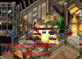传奇私服战宠如何选择与培养才能提升战力? 传奇私服战宠如何选择与培养才能提升战力?