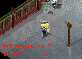 传奇私服发布网如何快速提升角色等级? 传奇私服发布网如何快速提升角色等级?