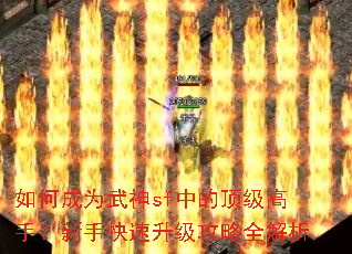 如何成为武神sf中的顶级高手?新手快速升级攻略全解析 如何成为武神sf中的顶级高手?新手快速升级攻略全解析
