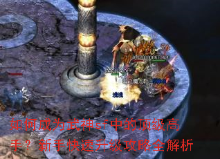 如何成为武神sf中的顶级高手?新手快速升级攻略全解析 如何成为武神sf中的顶级高手?新手快速升级攻略全解析