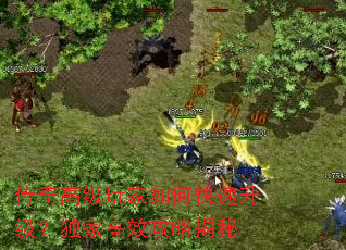传奇高级玩家如何快速升级?独家高效攻略揭秘 传奇高级玩家如何快速升级?独家高效攻略揭秘
