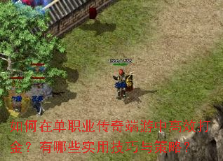 如何在单职业传奇端游中高效打金?有哪些实用技巧与策略? 如何在单职业传奇端游中高效打金?有哪些实用技巧与策略?