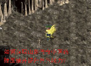 如何获取山东传奇中医药臻压康并提升角色战力? 如何获取山东传奇中医药臻压康并提升角色战力?
