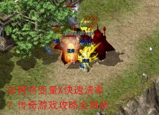 如何将变量X快速清零?传奇游戏攻略全解析 如何将变量X快速清零?传奇游戏攻略全解析